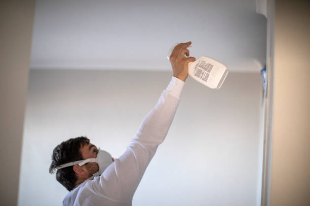 Professional Mold Remediation in Abilene, KS